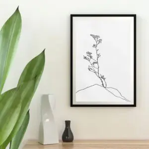 Digital Art Creations