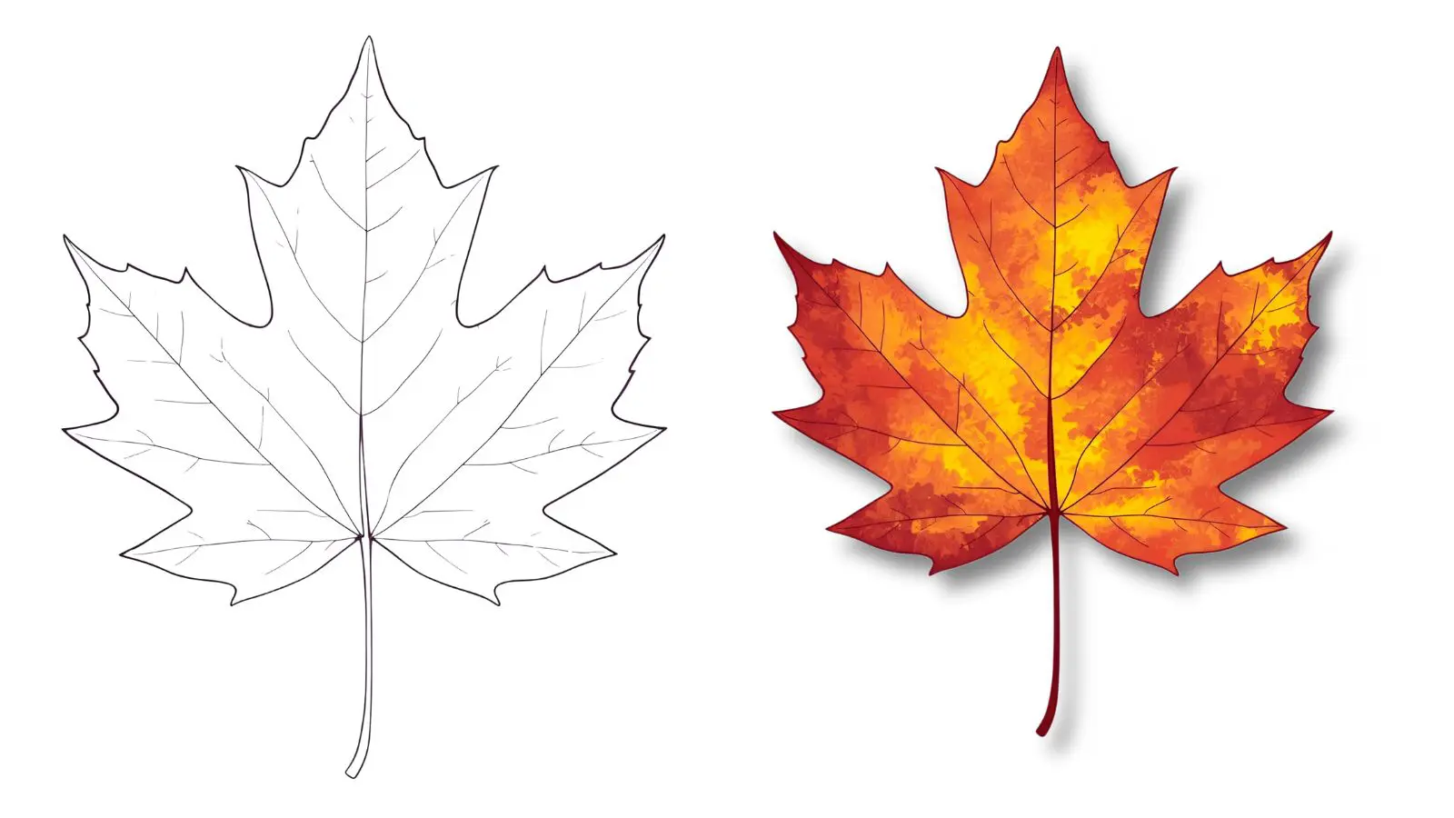 Before and after comparison of autumn leaves coloring showing transformation from outline to realistic colored leaf.