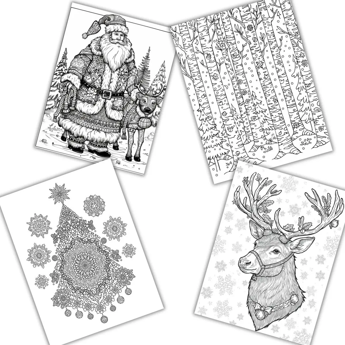 50 Winter Wonderland Coloring Pages PDF
