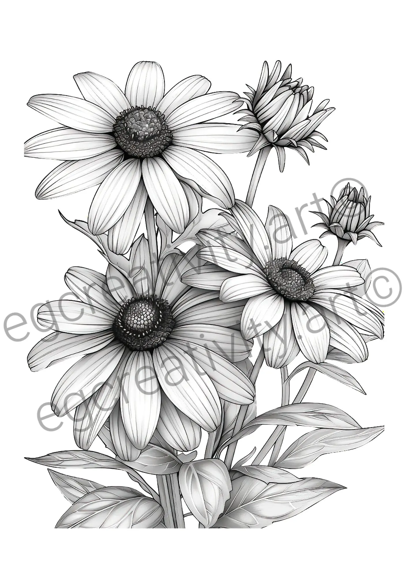 botanical coloring pages relaxation therapy adults