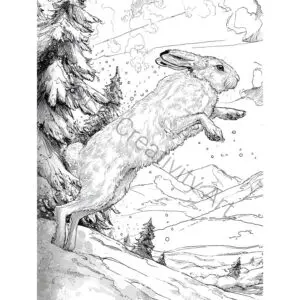 5 Winter Wonderland Coloring Pages – Cozy Calm and Joy