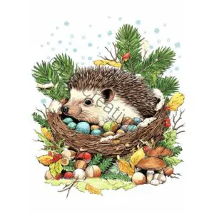 9 Winter Animal Coloring Pages – Cozy Woodland Calm