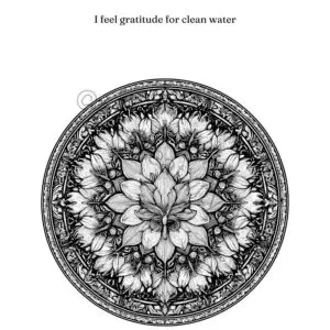 Eco Mandala Coloring Book – 35 Nature Designs for Calm