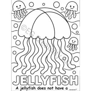 ocean animal coloring pages coloring page sea animals coloring pictures of ocean animals