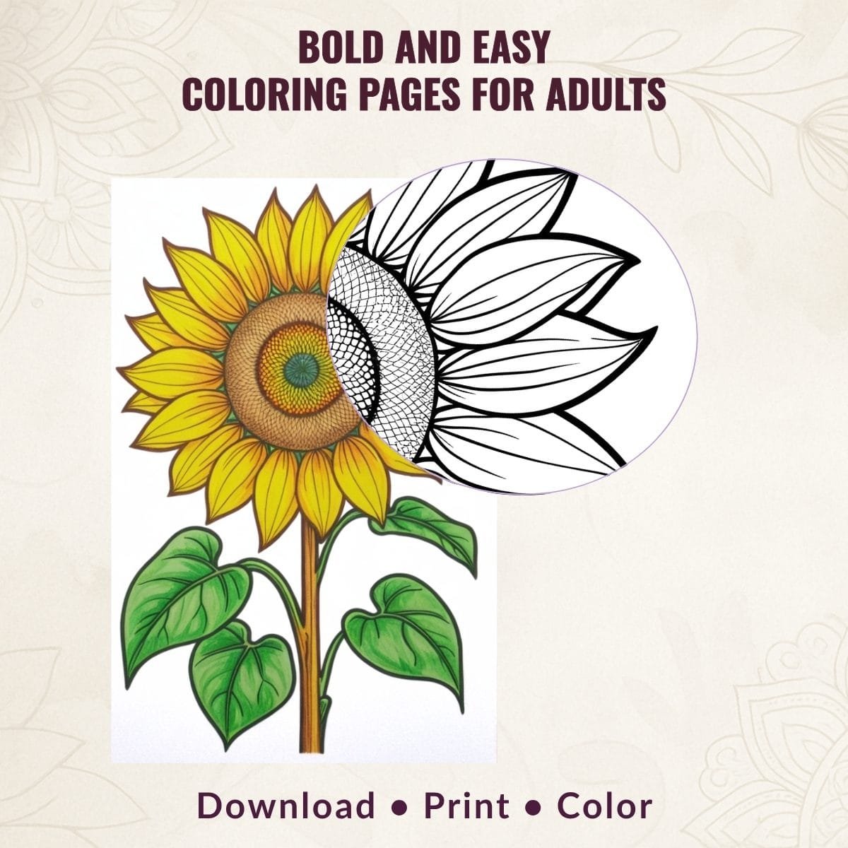 35 Bold and Easy Coloring Pages for Adults – Printable Large-Print PDF for Stress Relief & Creativity