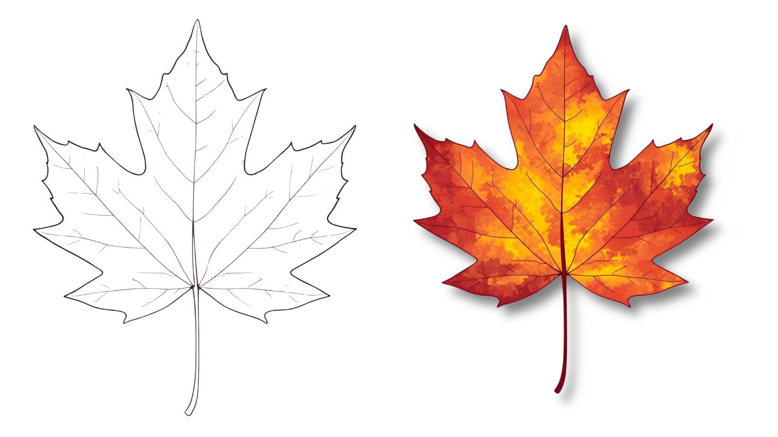 Before and after comparison of autumn leaves coloring showing transformation from outline to realistic colored leaf.