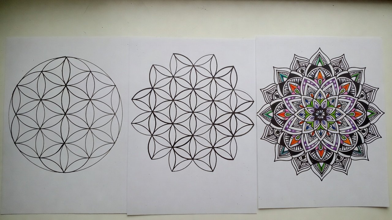 Comparison of mandalas by difficulty level, showing simple, intermediate, and intricate designs for coloring.